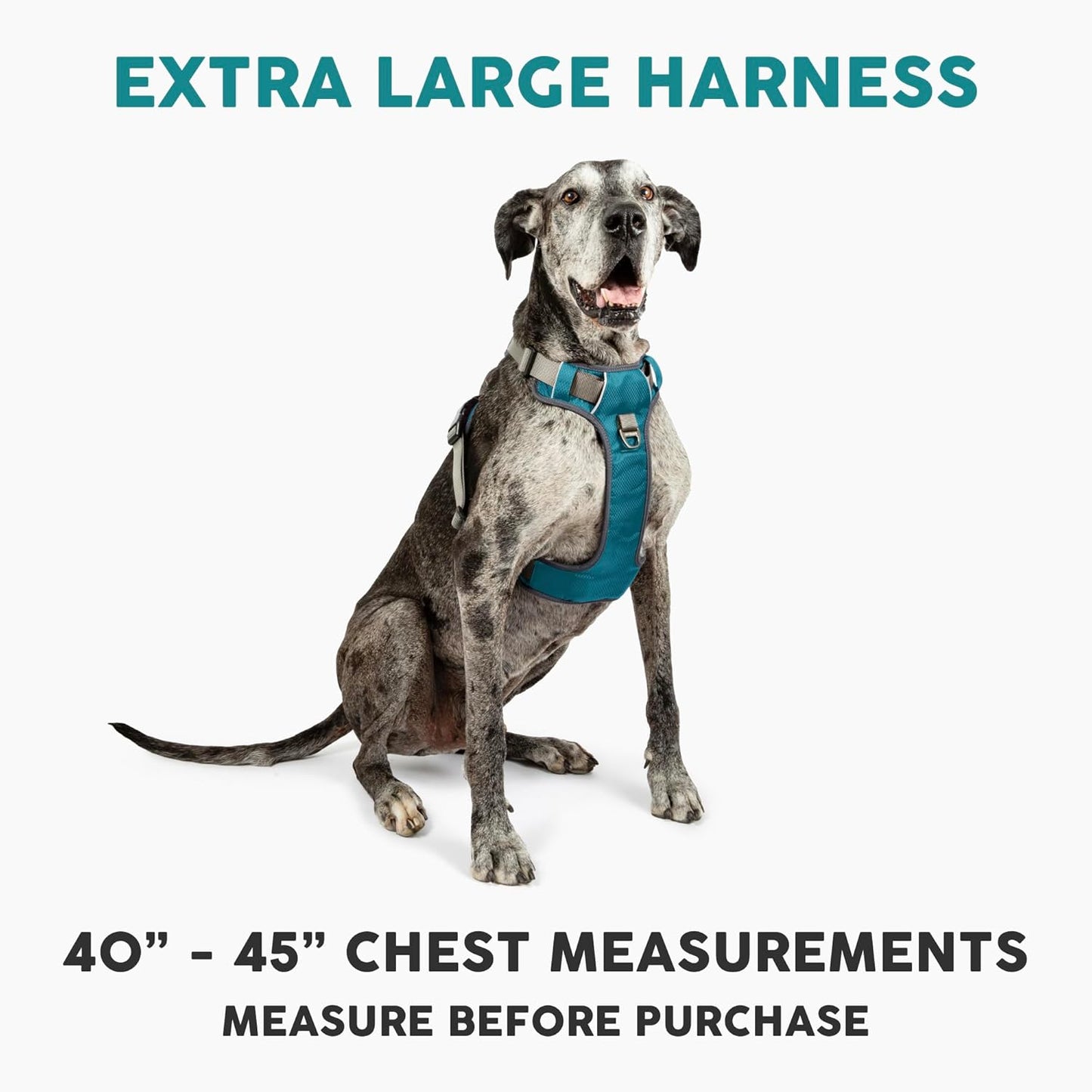 Embark Adventure XL Dog Harness - No-Pull Design, Reflective Trim, Military-Grade Nylon, Dual Leash Clips with Gel-Lined Handle, Soft and Padded Construction