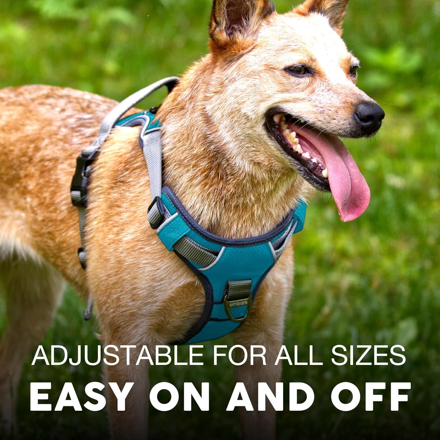 Embark Adventure XL Dog Harness - No-Pull Design, Reflective Trim, Military-Grade Nylon, Dual Leash Clips with Gel-Lined Handle, Soft and Padded Construction