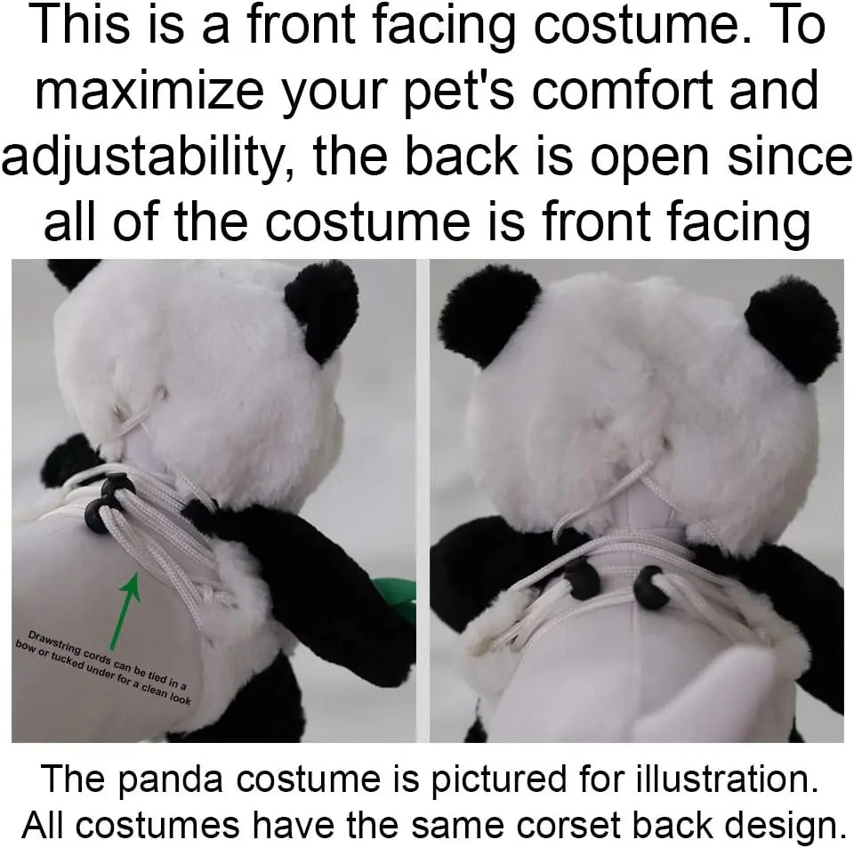Pandaloon Bumblebee Halloween Dog Costume - Hilarious Front-Facing Outfit for Small to Medium Dogs and Cats