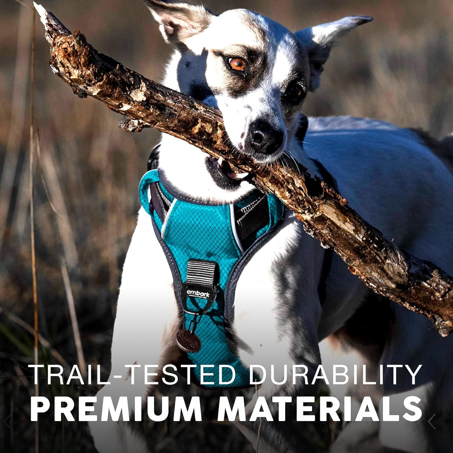 Embark Adventure XL Dog Harness - No-Pull Design, Reflective Trim, Military-Grade Nylon, Dual Leash Clips with Gel-Lined Handle, Soft and Padded Construction